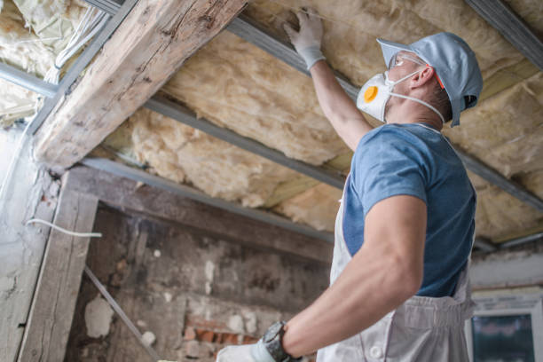 Best Geographic-Specific Insulation Services in Faith, NC