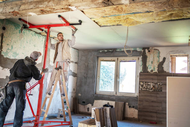 Best Cellulose Insulation in Faith, NC